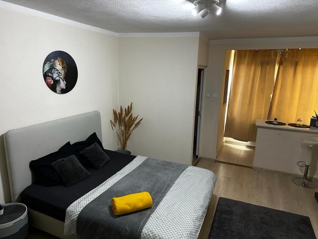 Appartement Reeas Timişoara
